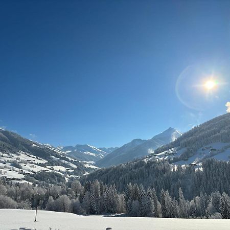 Apartament Haus Schmetterling Alpbach Zewnętrze zdjęcie