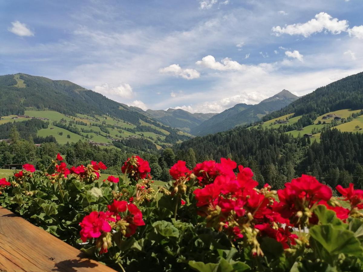 Apartament Haus Schmetterling Alpbach Zewnętrze zdjęcie