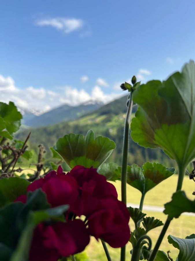 Apartament Haus Schmetterling Alpbach Zewnętrze zdjęcie