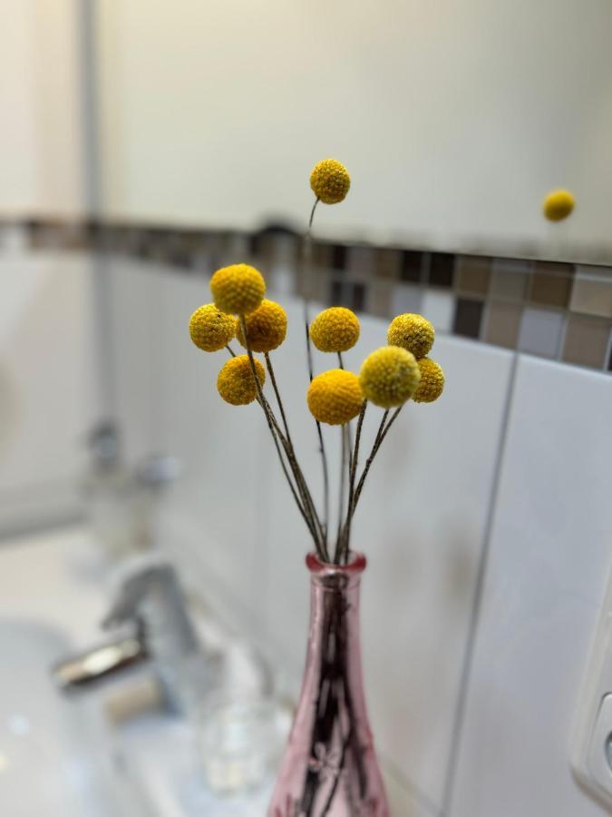 Apartament Haus Schmetterling Alpbach Zewnętrze zdjęcie