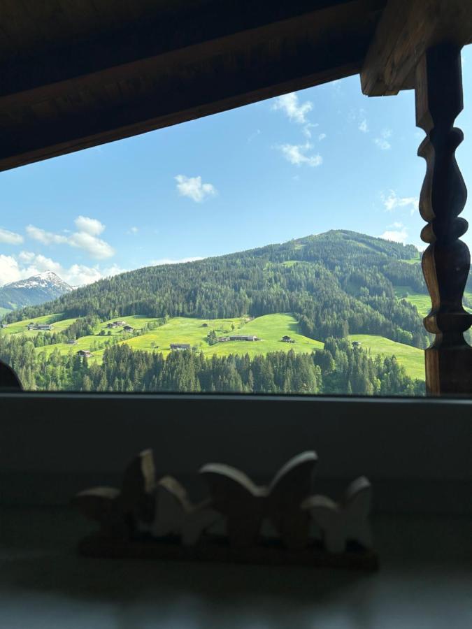 Apartament Haus Schmetterling Alpbach Zewnętrze zdjęcie