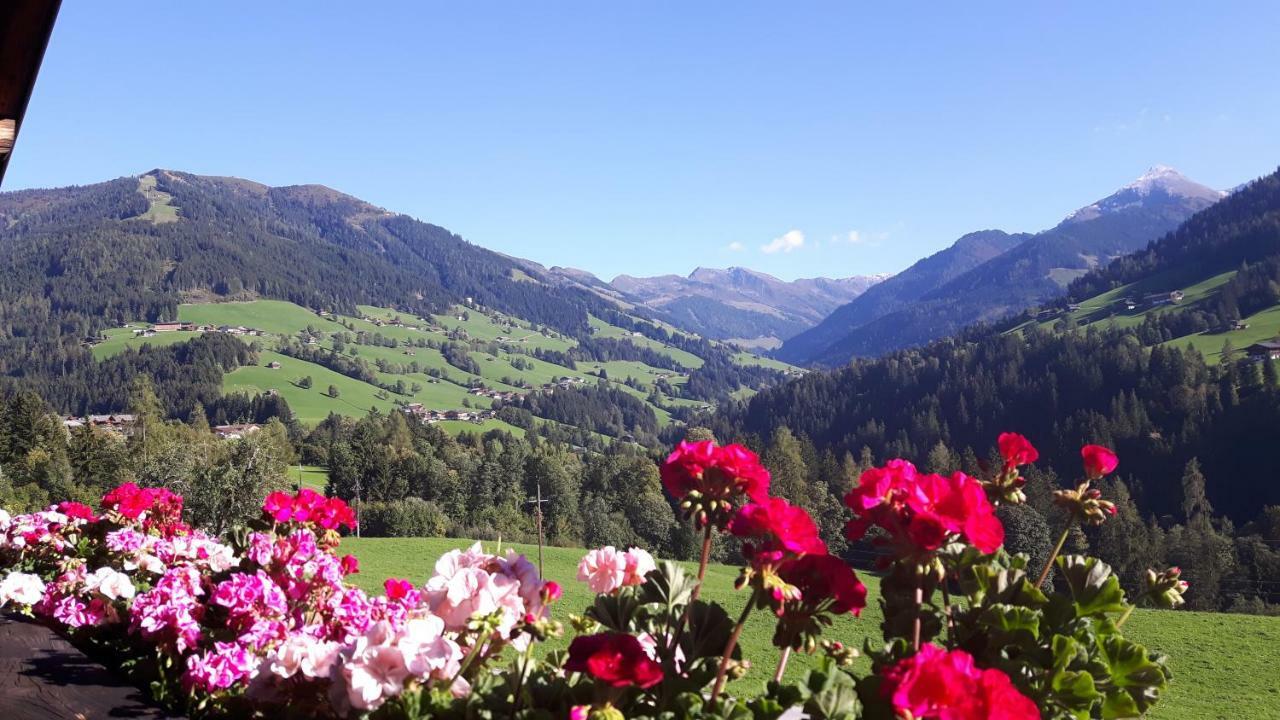 Apartament Haus Schmetterling Alpbach Zewnętrze zdjęcie