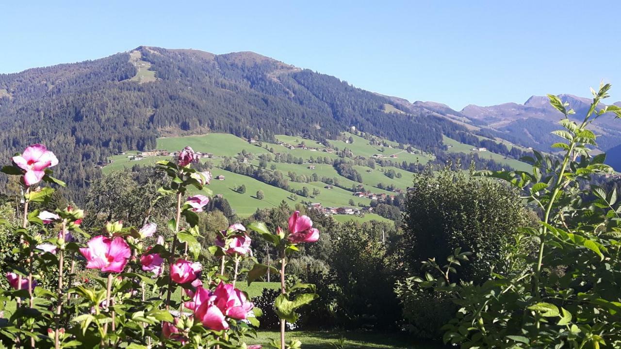 Apartament Haus Schmetterling Alpbach Zewnętrze zdjęcie